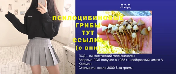 герыч Богданович