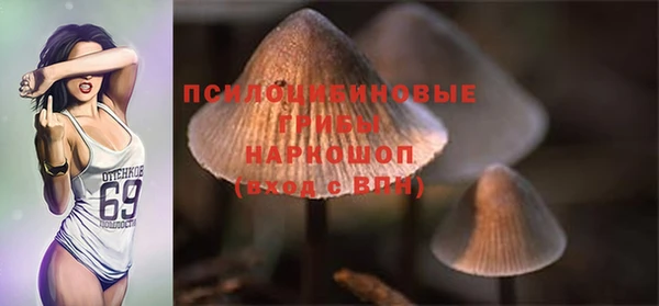 таблы Богородицк