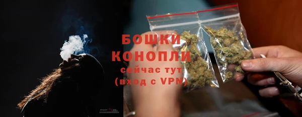 таблы Богородицк