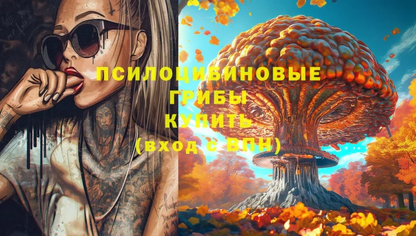 таблы Богородицк