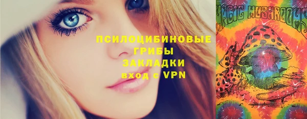 таблы Богородицк