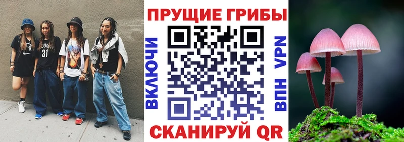 как найти закладки  Дятьково  Галлюциногенные грибы MAGIC MUSHROOMS 